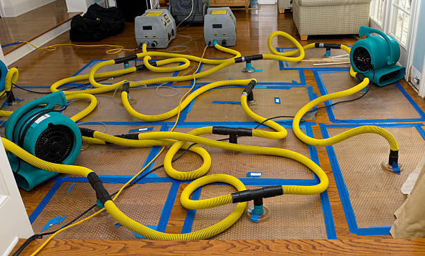 Professional Storm Water Damage Restoration technician working in Meansville, GA